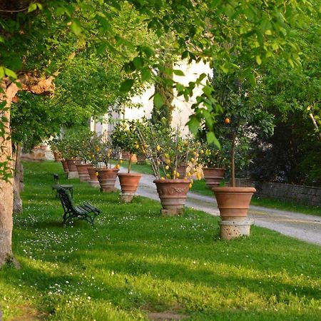 Ginestra Apartment Poggibonsi Exterior photo